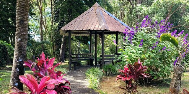 Sophie nature park a peaceful nature walk in the heart of mauritius  (8)